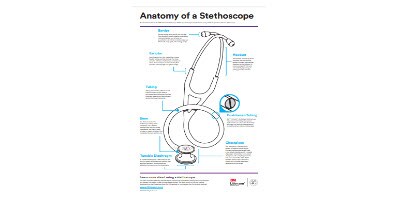 Anatomy of a stethoscope poster
